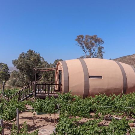 Finca El Mirador Valle de Guadalupe Exteriör bild
