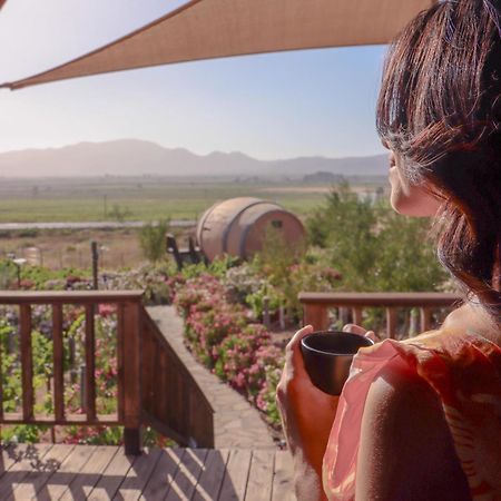 Finca El Mirador Valle de Guadalupe Exteriör bild