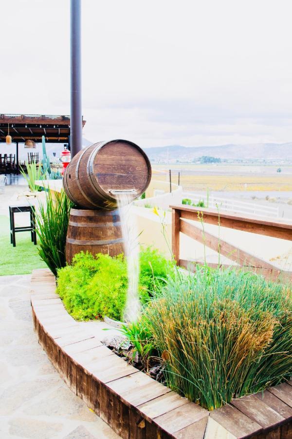 Finca El Mirador Valle de Guadalupe Exteriör bild
