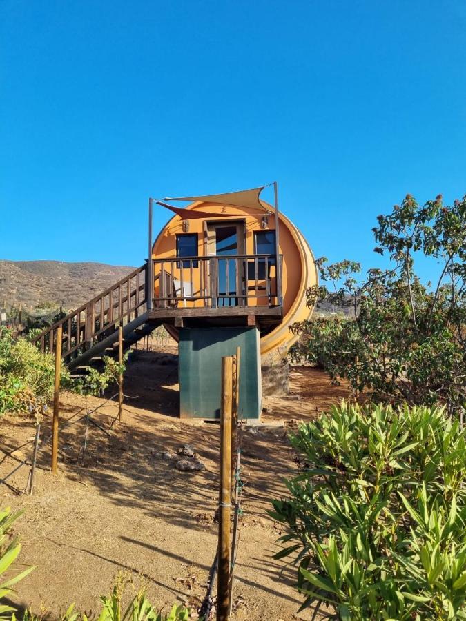 Finca El Mirador Hotell Valle de Guadalupe Exteriör bild