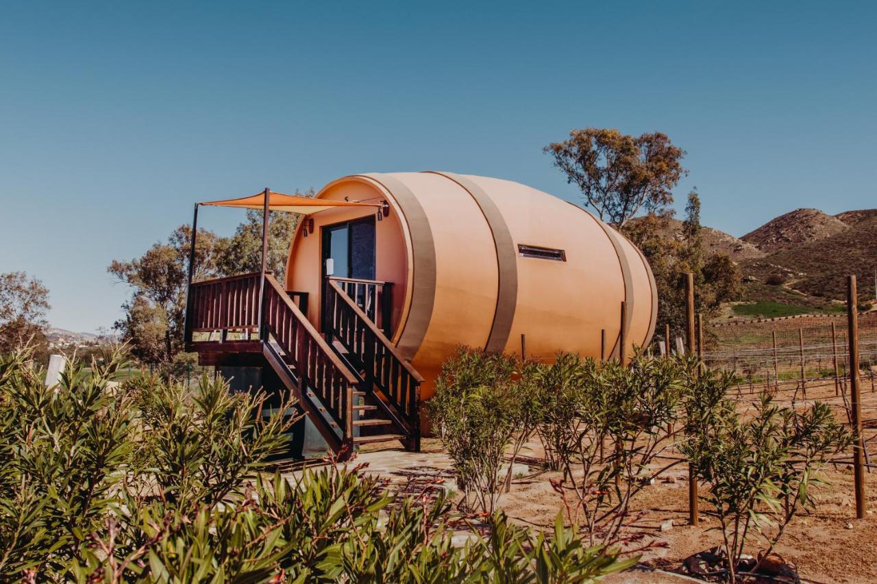 Finca El Mirador Hotell Valle de Guadalupe Exteriör bild