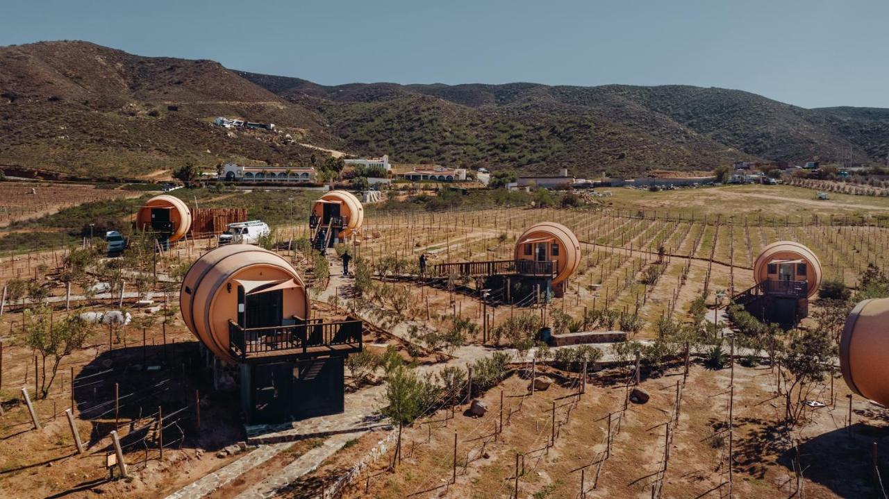 Finca El Mirador Hotell Valle de Guadalupe Exteriör bild