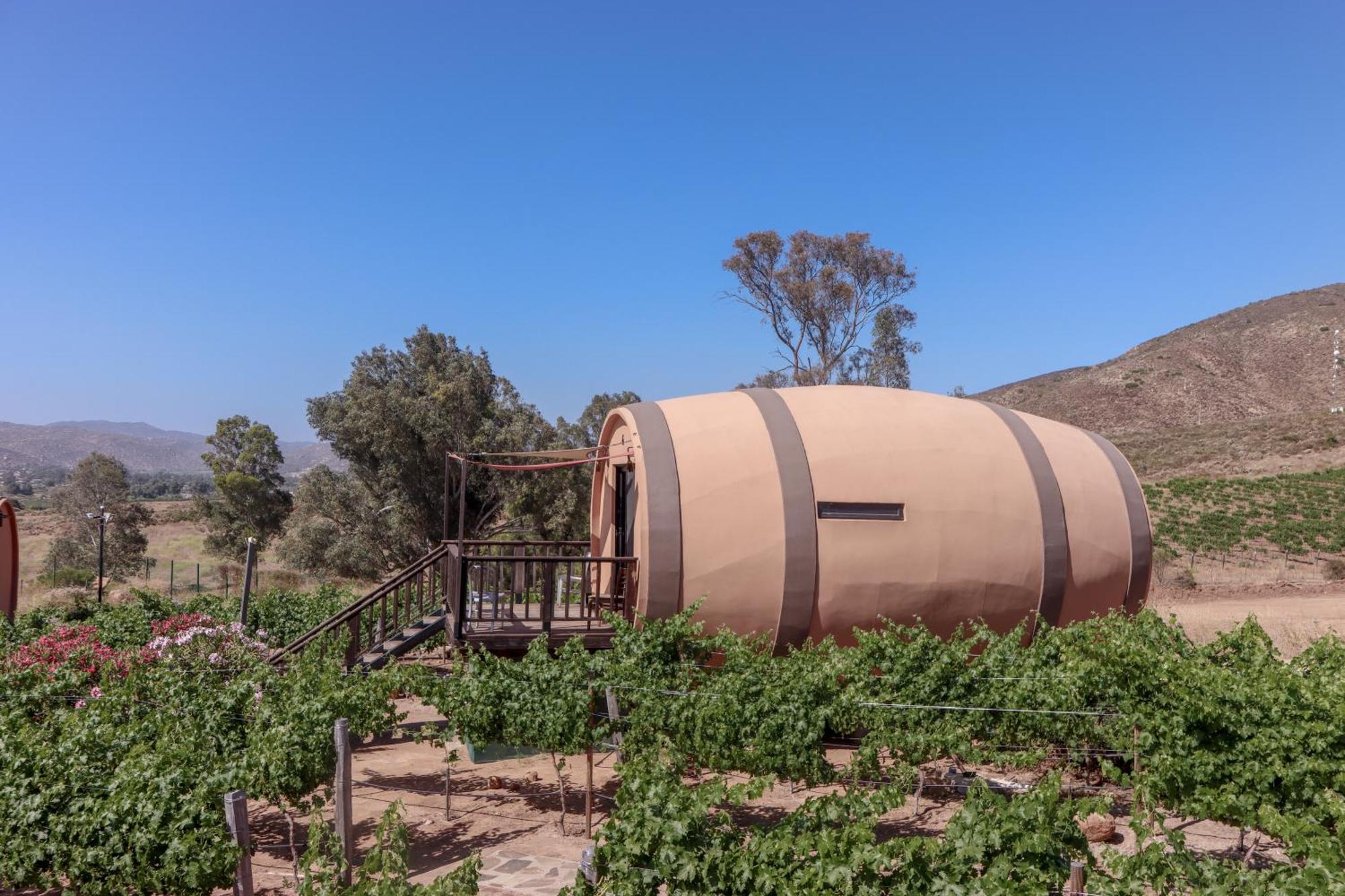 Finca El Mirador Valle de Guadalupe Exteriör bild