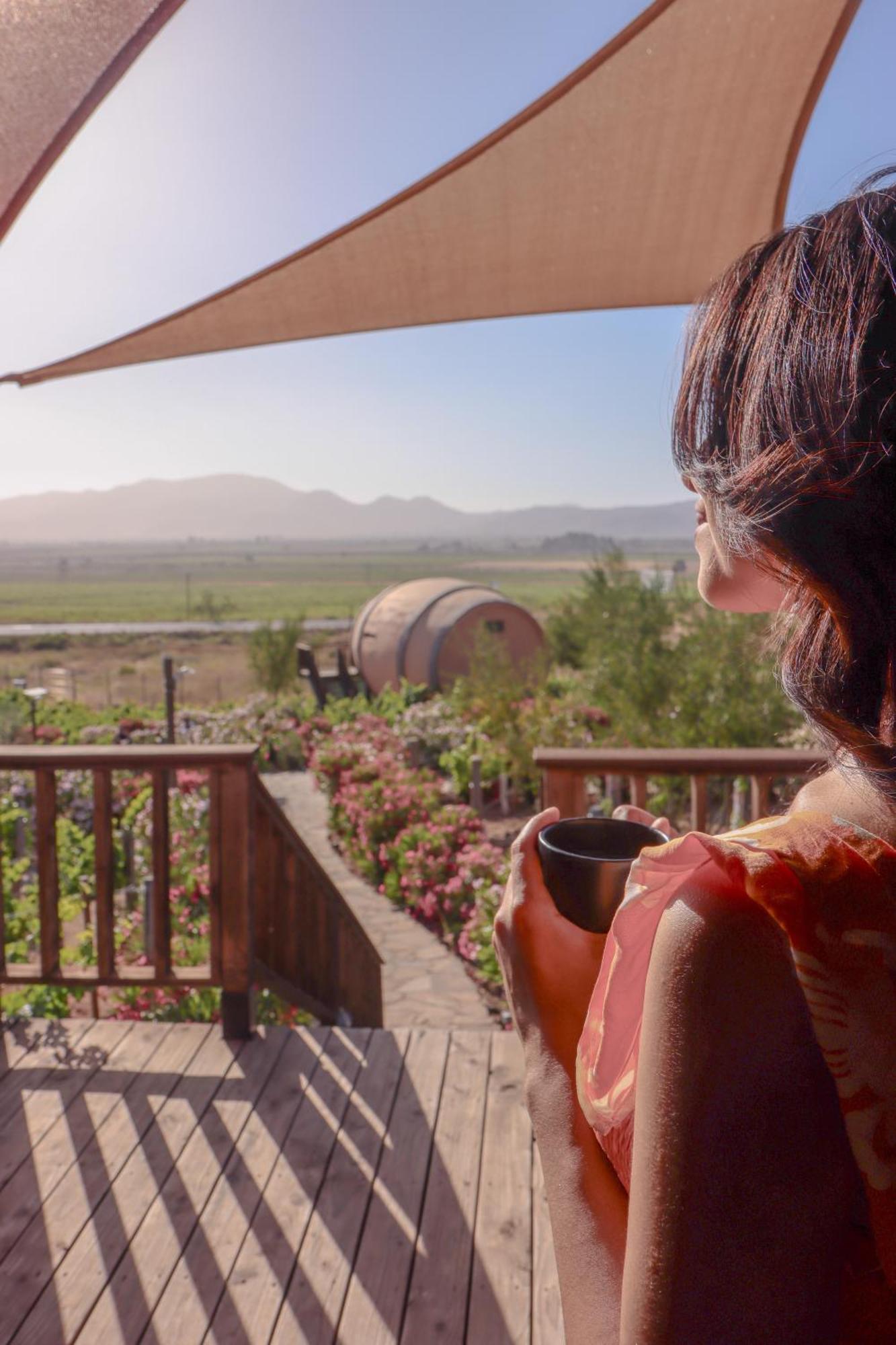 Finca El Mirador Valle de Guadalupe Exteriör bild